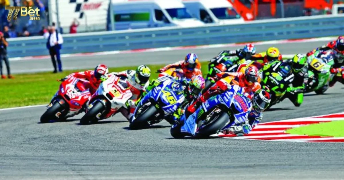 Cá Cược Đua Xe 77bet: Các loại cược đua xe phổ biến 77bet